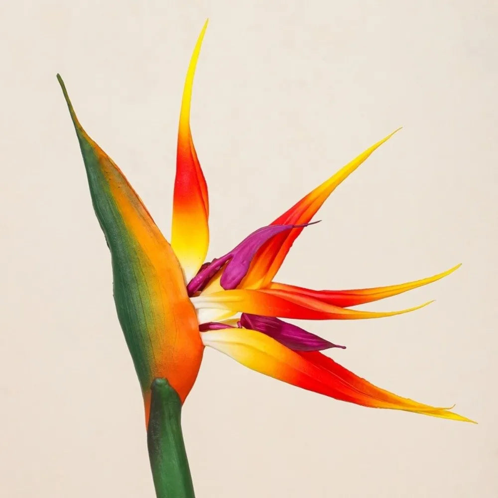 Long Stem Artificial Bird of Paradise Faux Strelitzia Flower Artificial Flower Stem Nixie