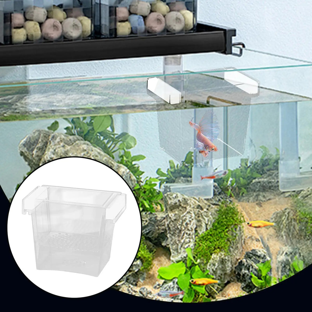 Floating Fish Tank Breeder Box – Hatchery & Isolation Box