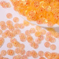 50g Daisy Sequins 9mm – Glitter Flakes for Nail Art & DIY Crafts Craft Glitter Sequins Nixie 16