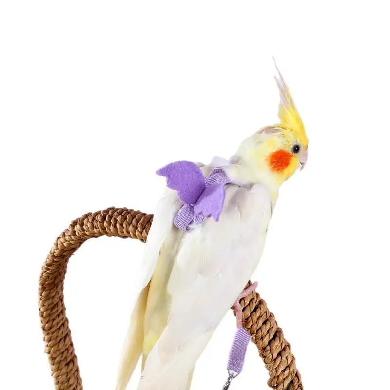Parrot Harness & Leash Set – Budgie Cockatiel Outdoor Training Bird Harness Leash Nixie