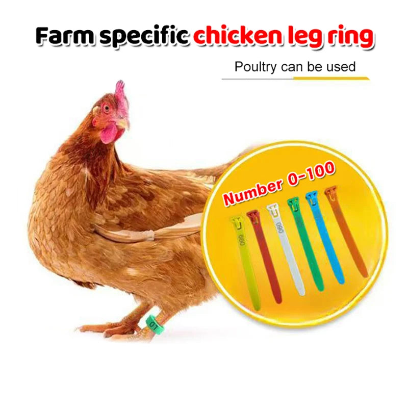50/100Pcs Adjustable Chicken Leg Bands – 5 Color Poultry Rings Poultry Leg Bands Nixie