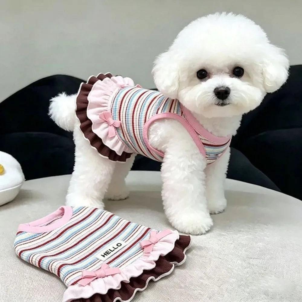 Rainbow Stripe Lace Dog Dress – Summer Skirt for Small Dogs Dog Dress Nixie