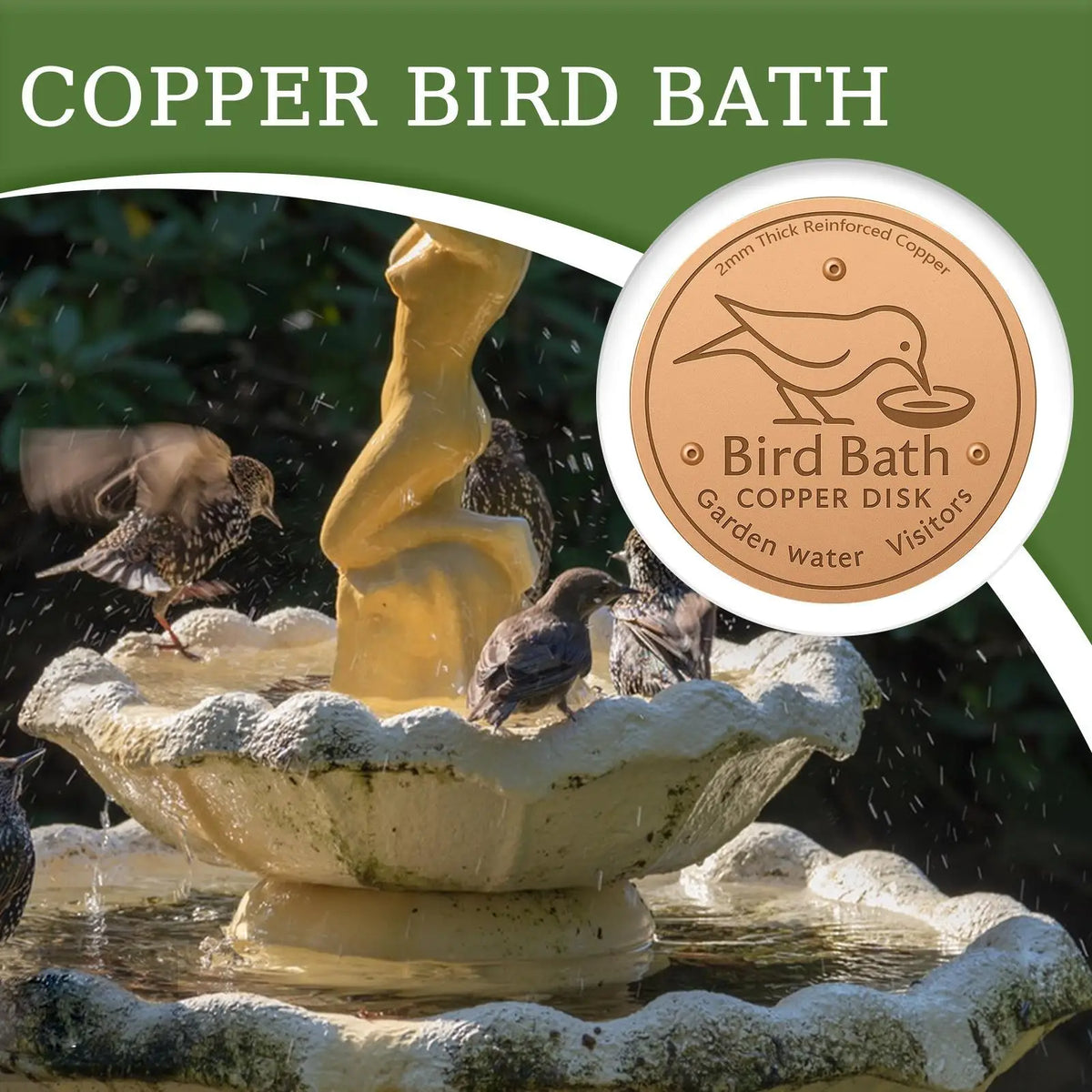 Copper Bird Bath Disk | Algae-Inhibiting Triple-Point Support