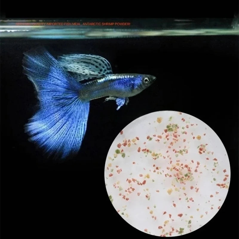 150ml Tropical Fish Food for Guppy & Lantern Fish | High Protein Aquarium Fish Food Nixie