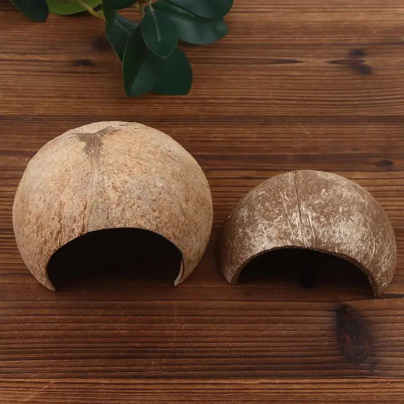 Coconut Shell Reptile Hideout Hut for Aquarium & Terrarium Reptile Hideout Nixie