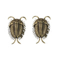 Brass Trilobite Figurine – Retro Desk Ornament & Tea Pet Decorative Figurine Nixie 2Pcs