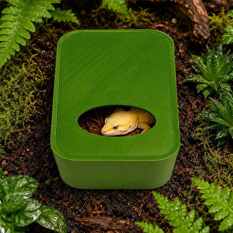 Reptile Humid Hide Cave for Gecko, Skink & Uromastyx | ExuRealm Reptile Humid Hide Nixie