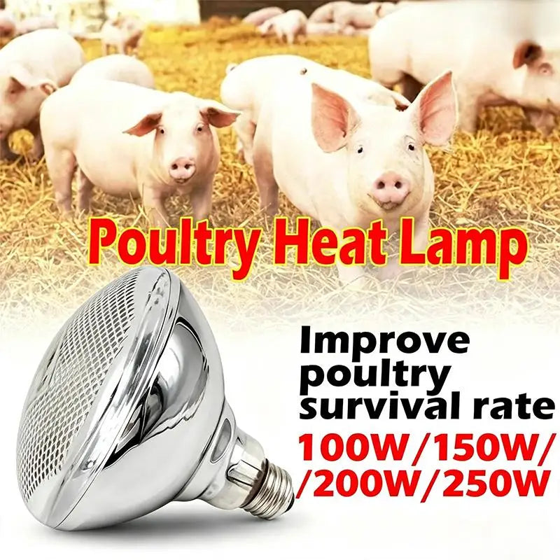 Infrared Heat Lamp Bulb 100W–250W for Brooder & Livestock Infrared Heat Lamp Nixie
