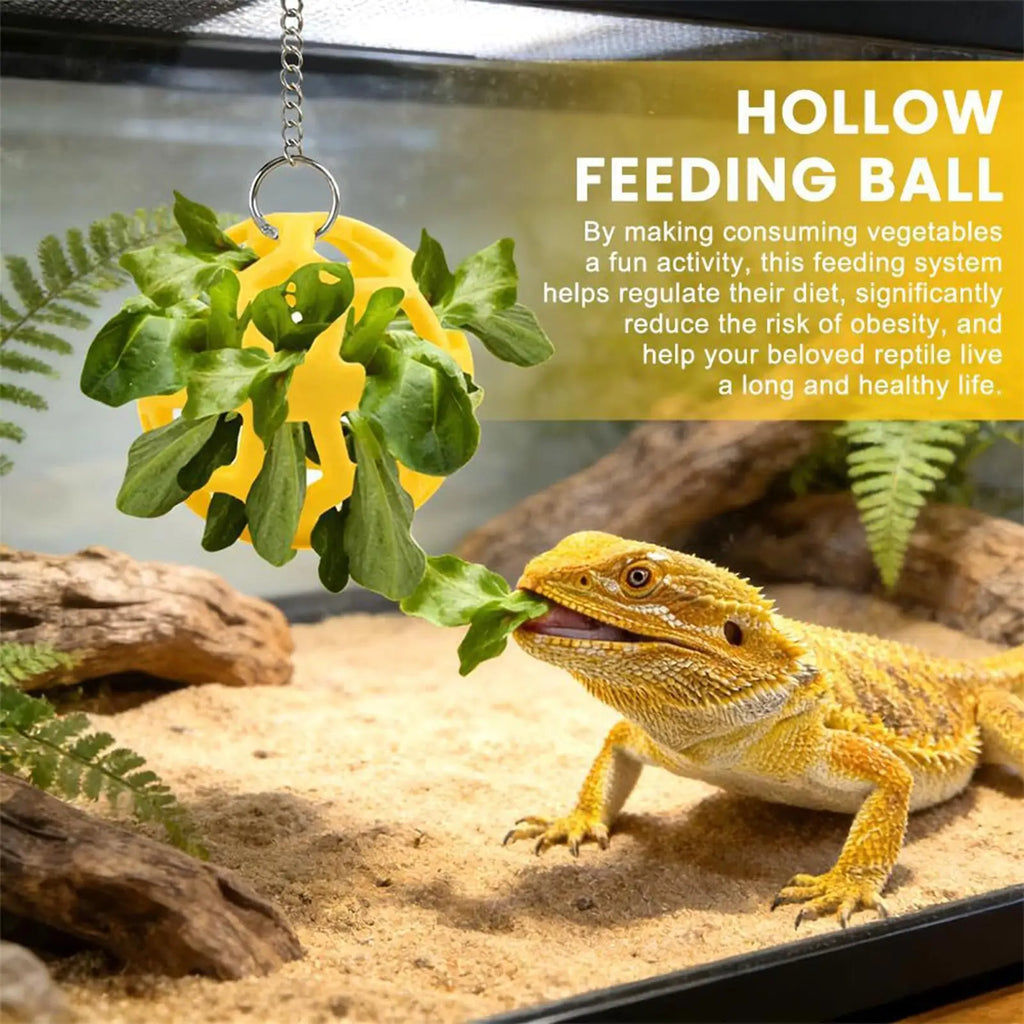 Bearded Dragon Enrichment Feeding Ball with Suction Cup Toy Reptile Enrichment Toy Nixie