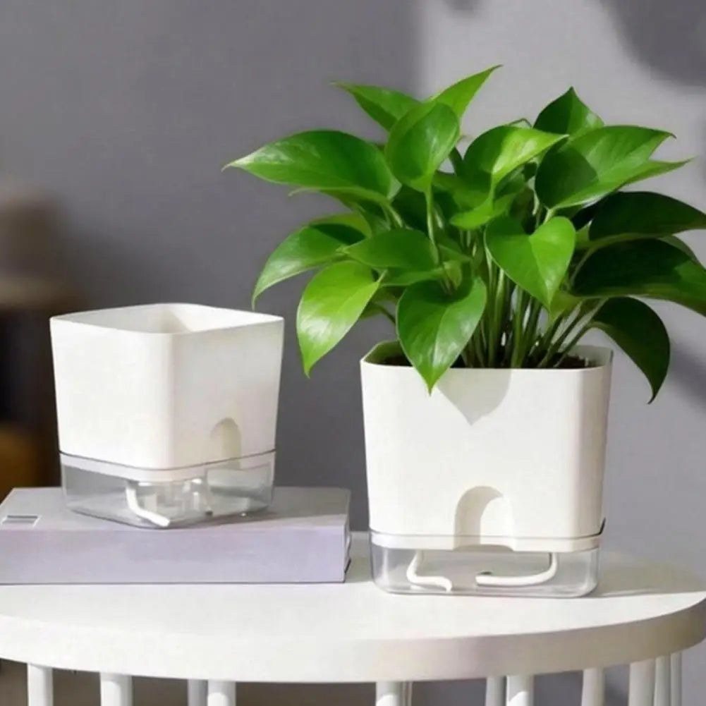 Self Watering Indoor Planter with Reservoir & Drainage Pot