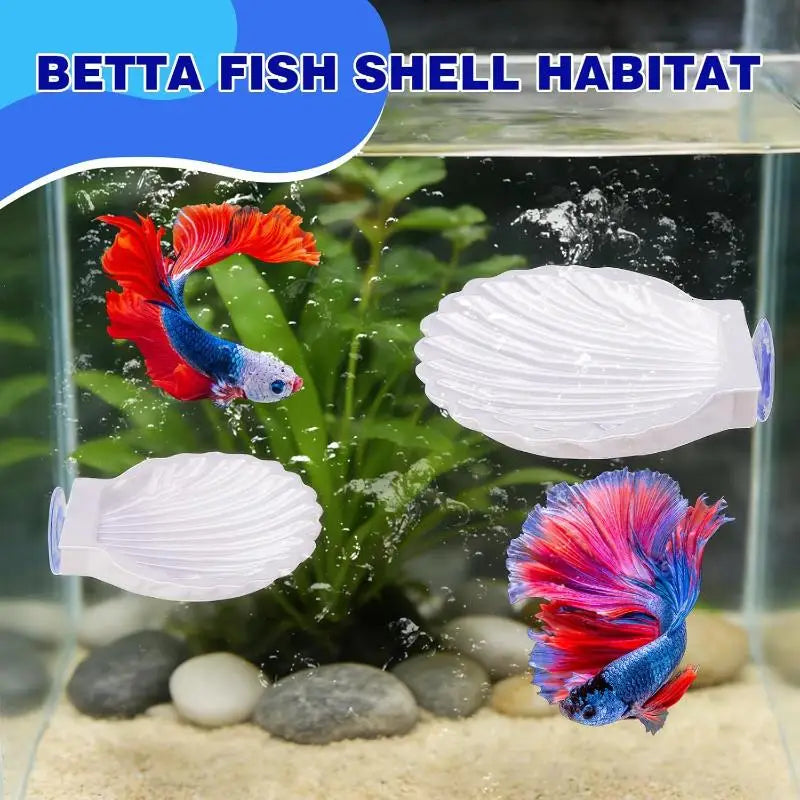 Betta Fish Shell Rest Platform with Suction Cup | 2 Sizes