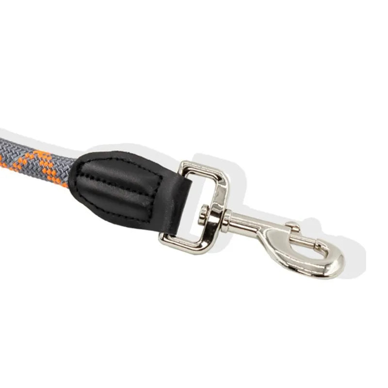Reflective Double-Head Hands-Free Dog Training Leash – S/M/L Dog Training Leash Nixie