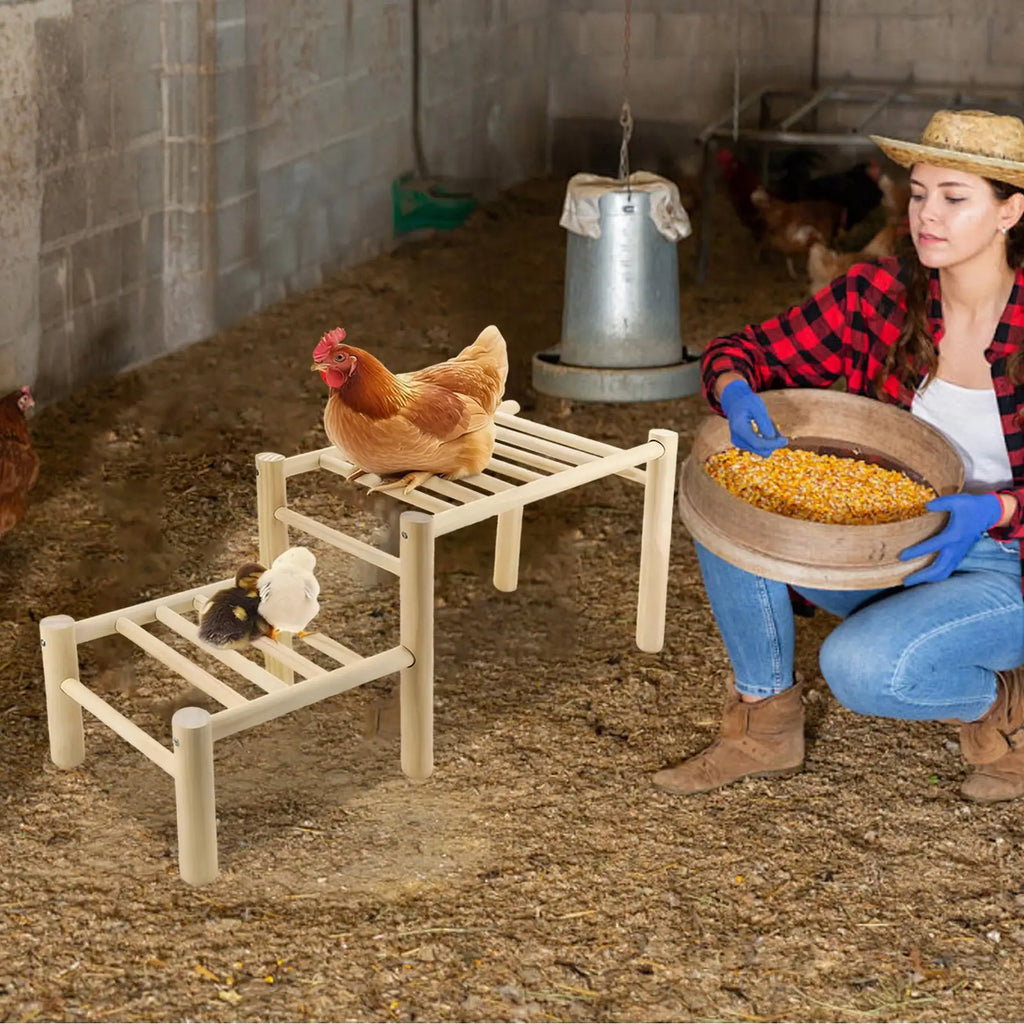 Wooden Chicken Roosting Perch & Training Habitat for Coops Chicken Roosting Perch Nixie