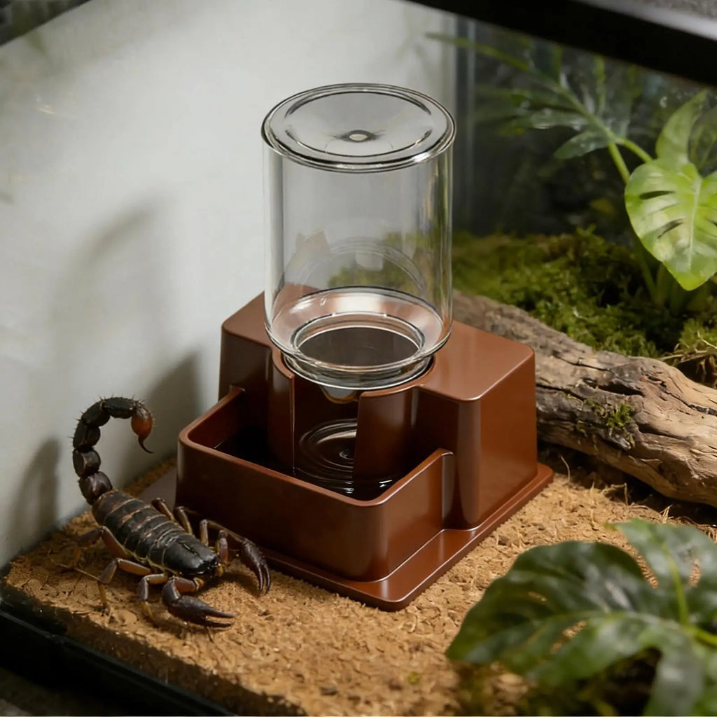 Automatic Reptile Water Dispenser for Geckos & Lizards Reptile Water Dispenser Nixie