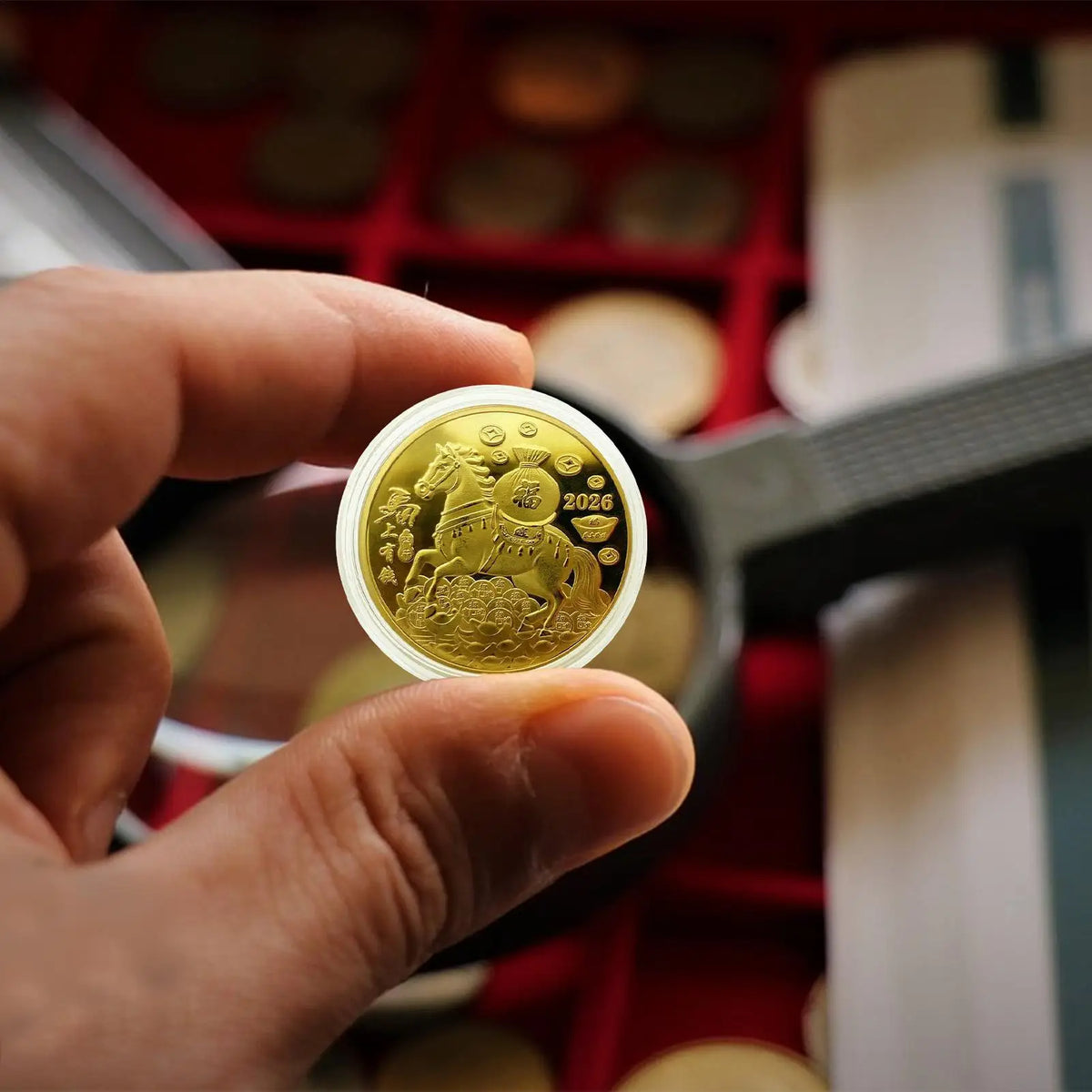 2026 Year of the Horse Collectible Coin – Chinese New Year Gift Collectible Coin Nixie