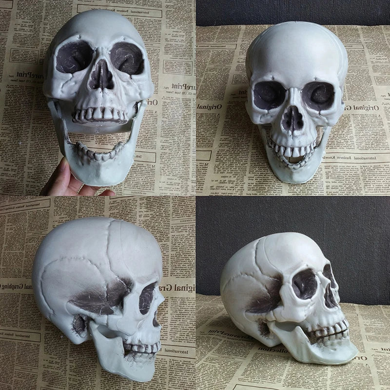 Plastic Skull Head Figurine – Halloween & Party Décor Statue