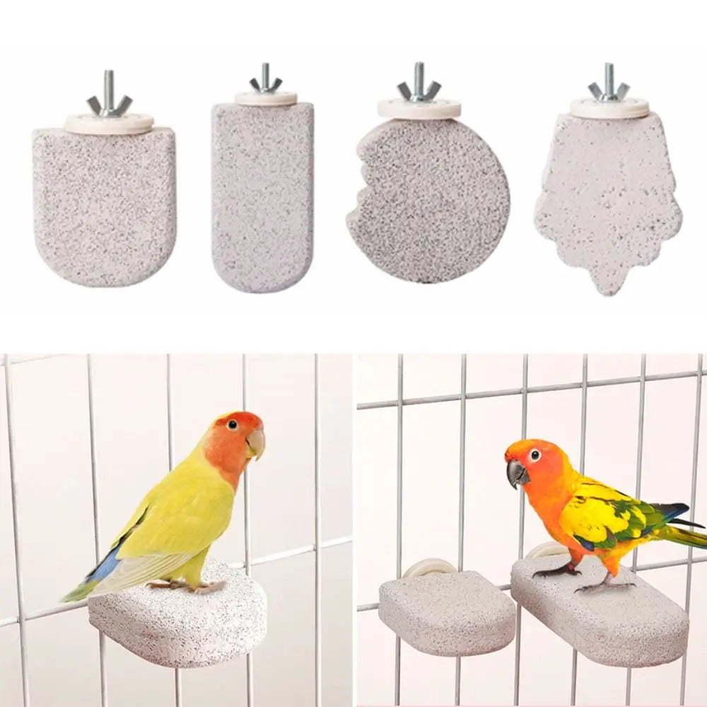 Pumice Parrot Stand Board – Claw & Beak Grinding Bird Perch Bird Perch Stand Nixie