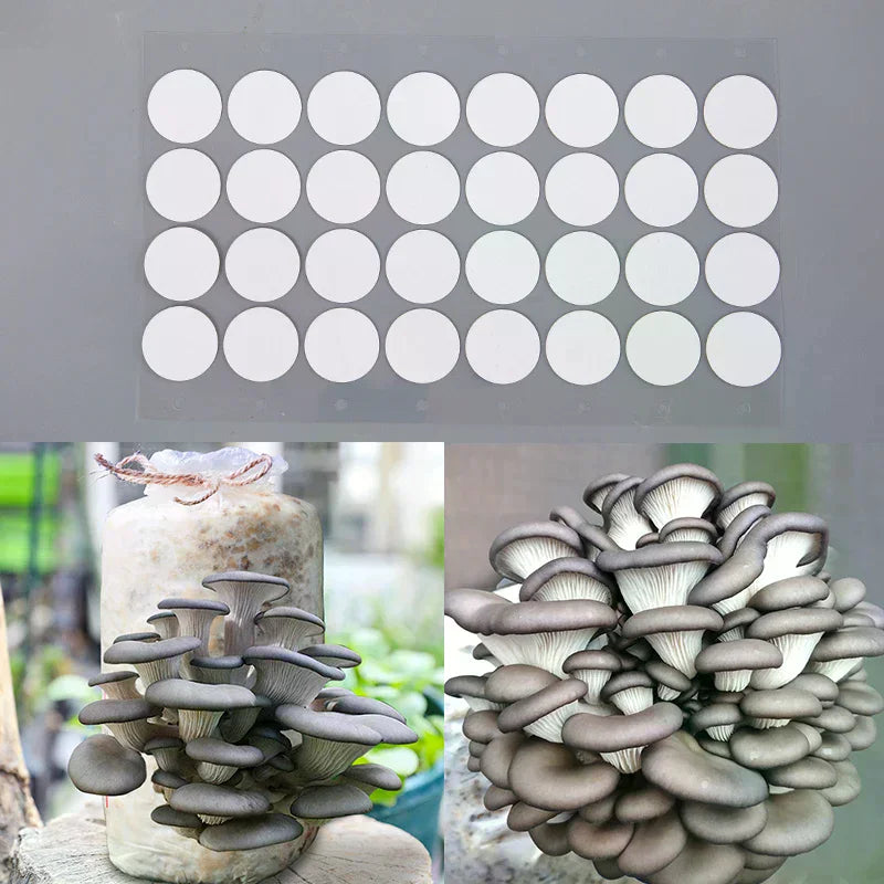 32Pcs PTFE Breathable Membrane Stickers for Mushroom Jar Lids Cultivation Filter Stickers Nixie