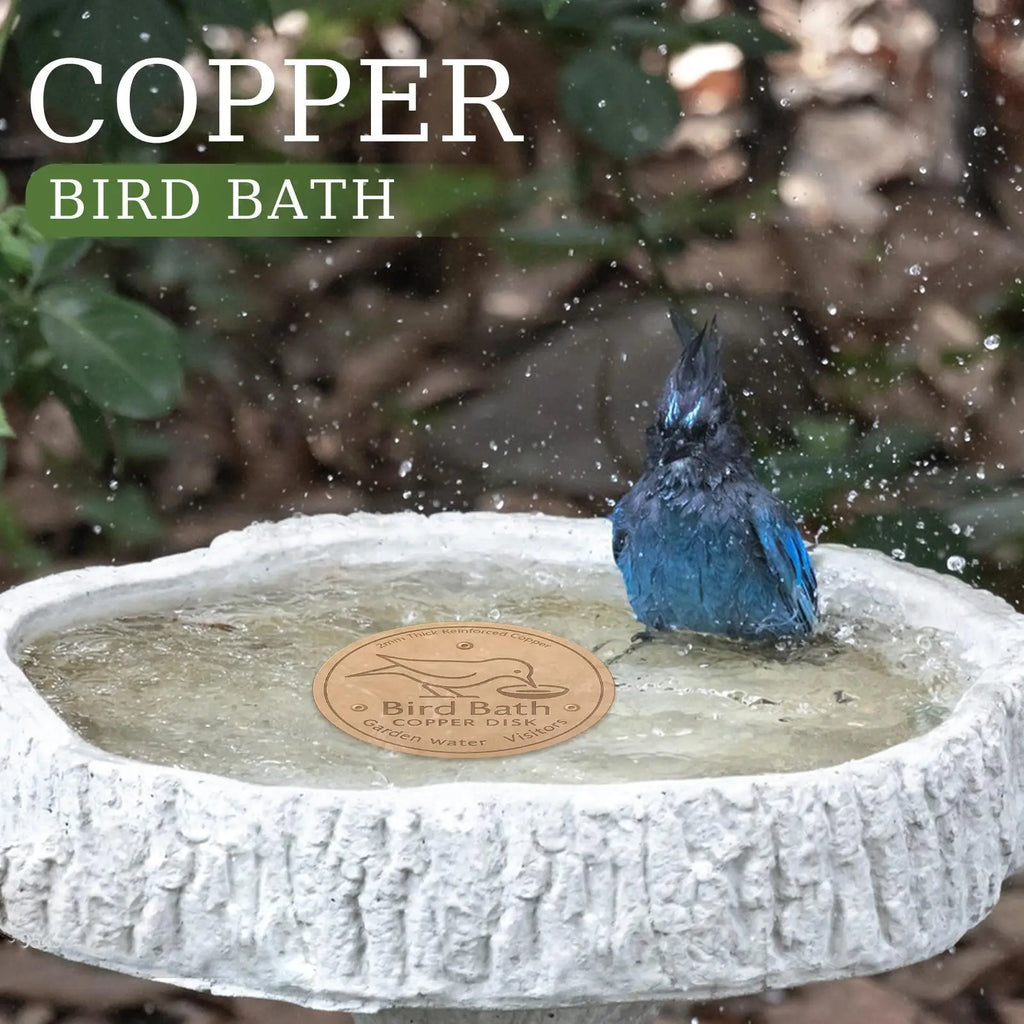 Copper Bird Bath Disk | Algae-Inhibiting Triple-Point Support