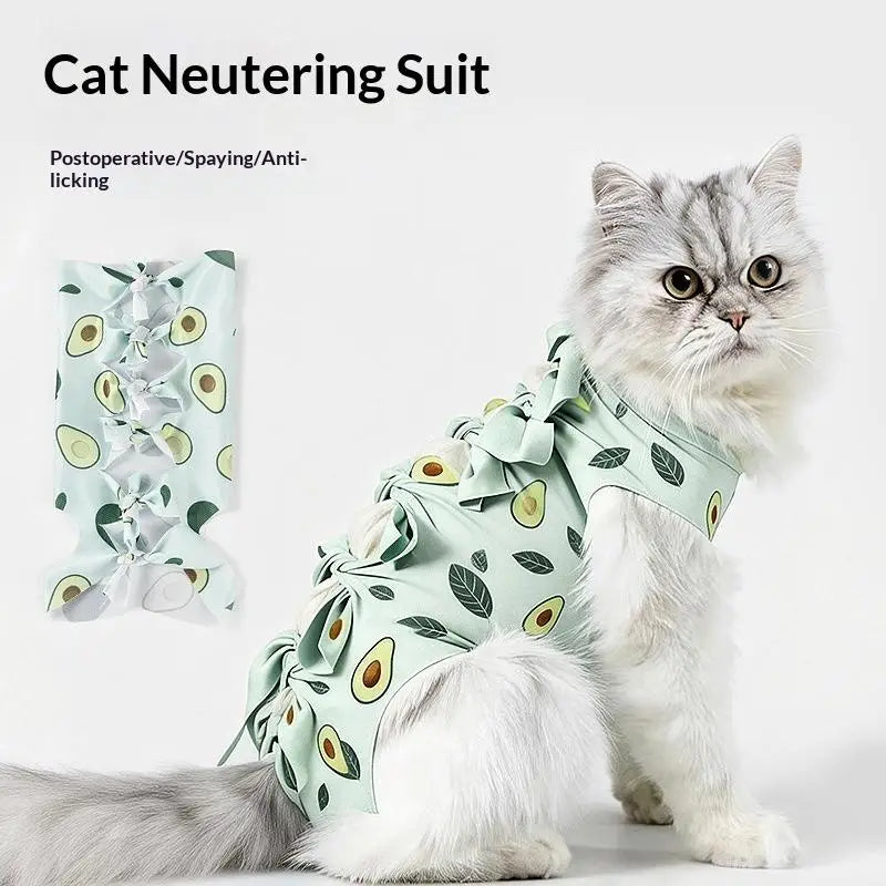 Cat Recovery Suit – Anti-Licking Wound Protective Clothing