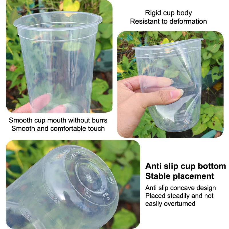 Hydroponic Planter Pots – Transparent Root View Seedling Cups Hydroponic Planter Pots Nixie