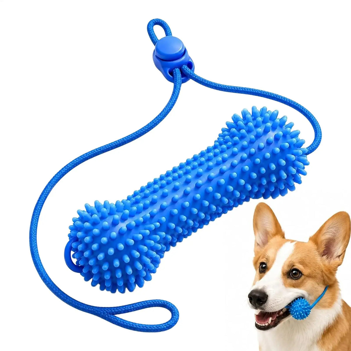 Dog Dental Chew Toy – Teeth Cleaning & Fresh Breath | Nixie Dog Dental Chew Toy Nixie