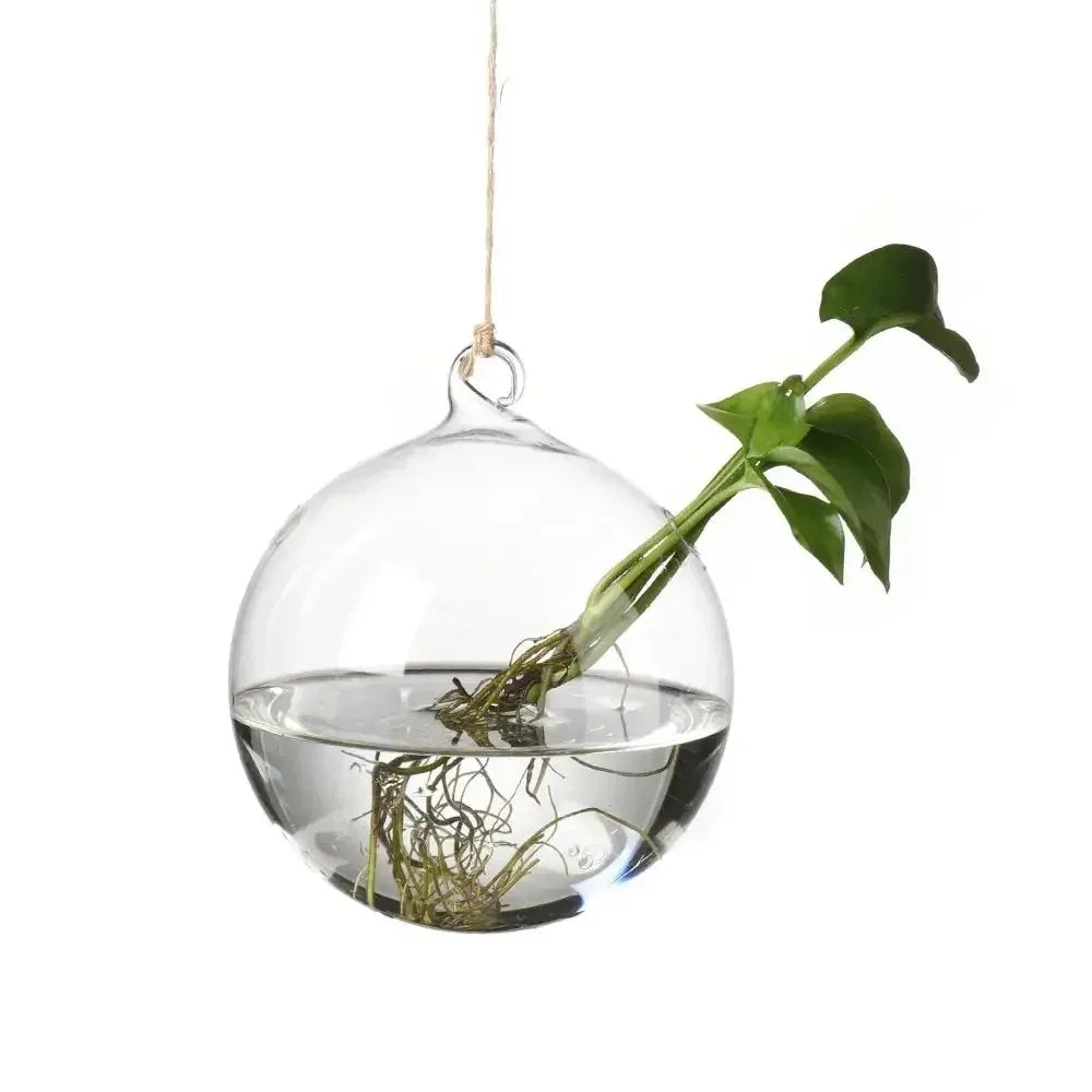 Hanging Glass Vase – Hydroponic Plant Pot, 12 Shapes Hanging Glass Vase Nixie