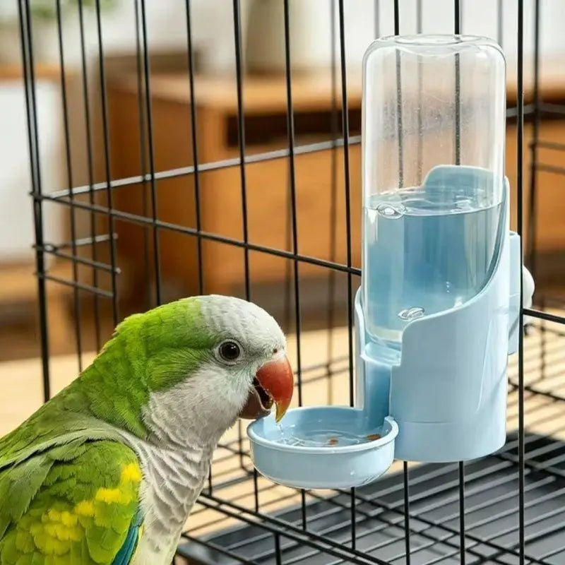 Automatic No-Drip Bird Water Feeder for Parrots & Finches Bird Water Feeder Nixie