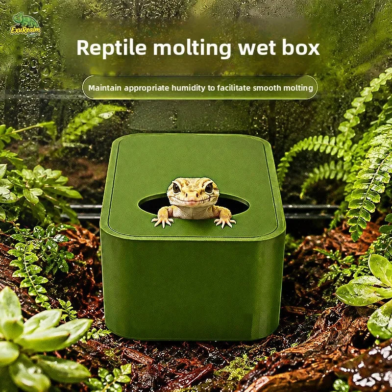 Reptile Humid Hide Cave for Gecko, Skink & Uromastyx | ExuRealm Reptile Humid Hide Nixie