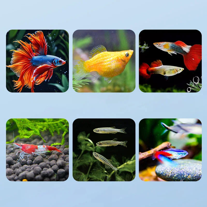 Floating Fish Breeding Isolation Box – Aquarium Hatchery