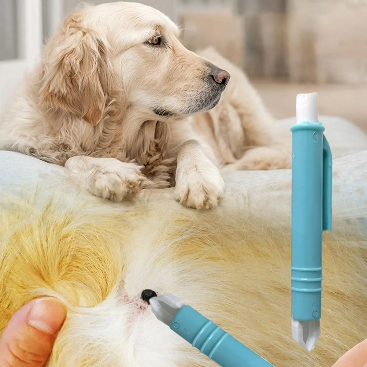 4-Piece Pet Tick & Flea Removal Tweezer Kit – Dogs & Cats Pet Tick Remover Kit Nixie