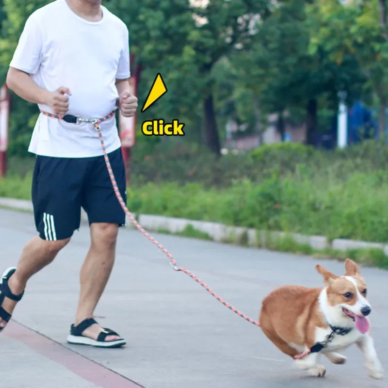 Reflective Double-Head Hands-Free Dog Training Leash – S/M/L Dog Training Leash Nixie