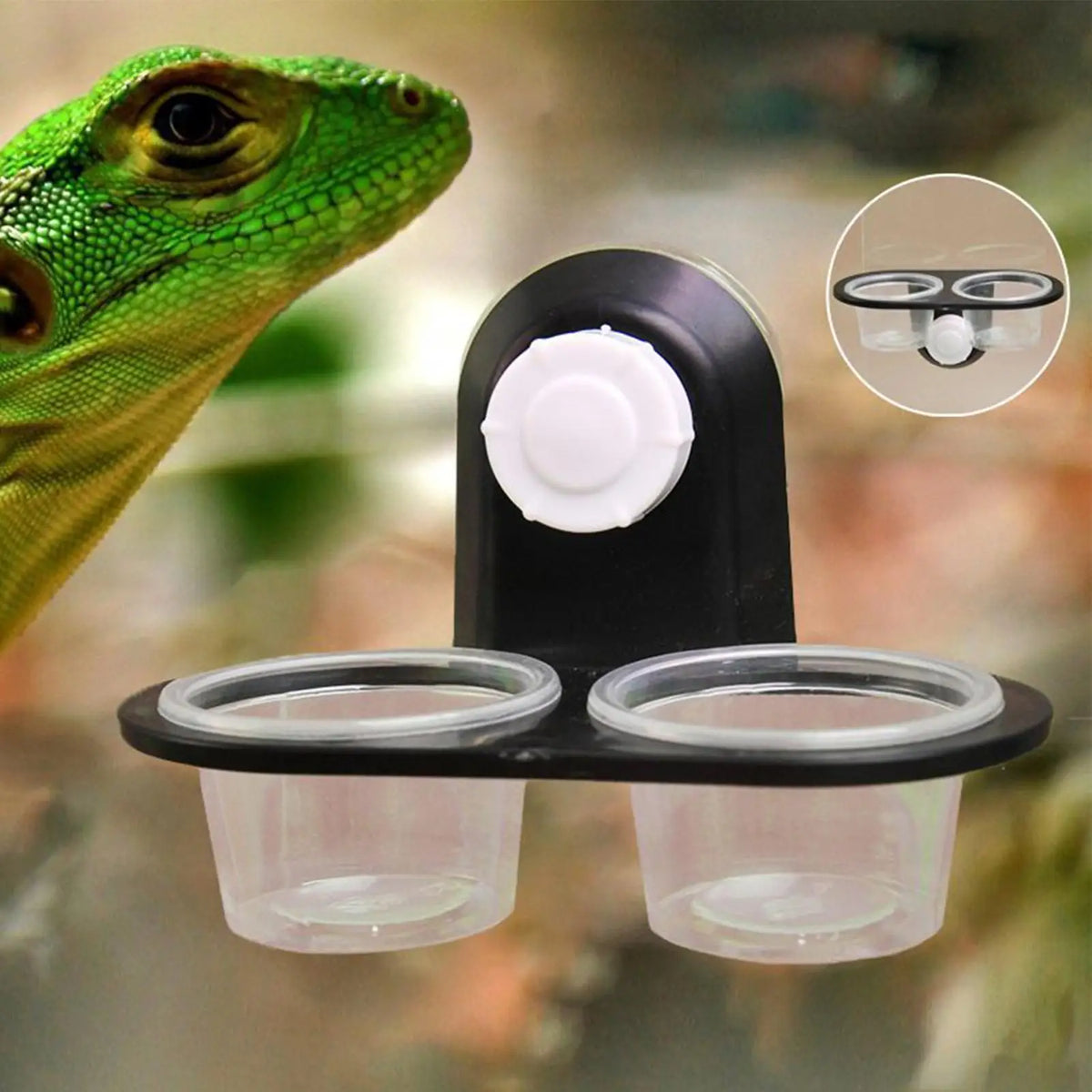 Gecko Feeding Dish & Dispenser with 4 Cups | Reptile Food Tray Reptile Feeding Dish Nixie