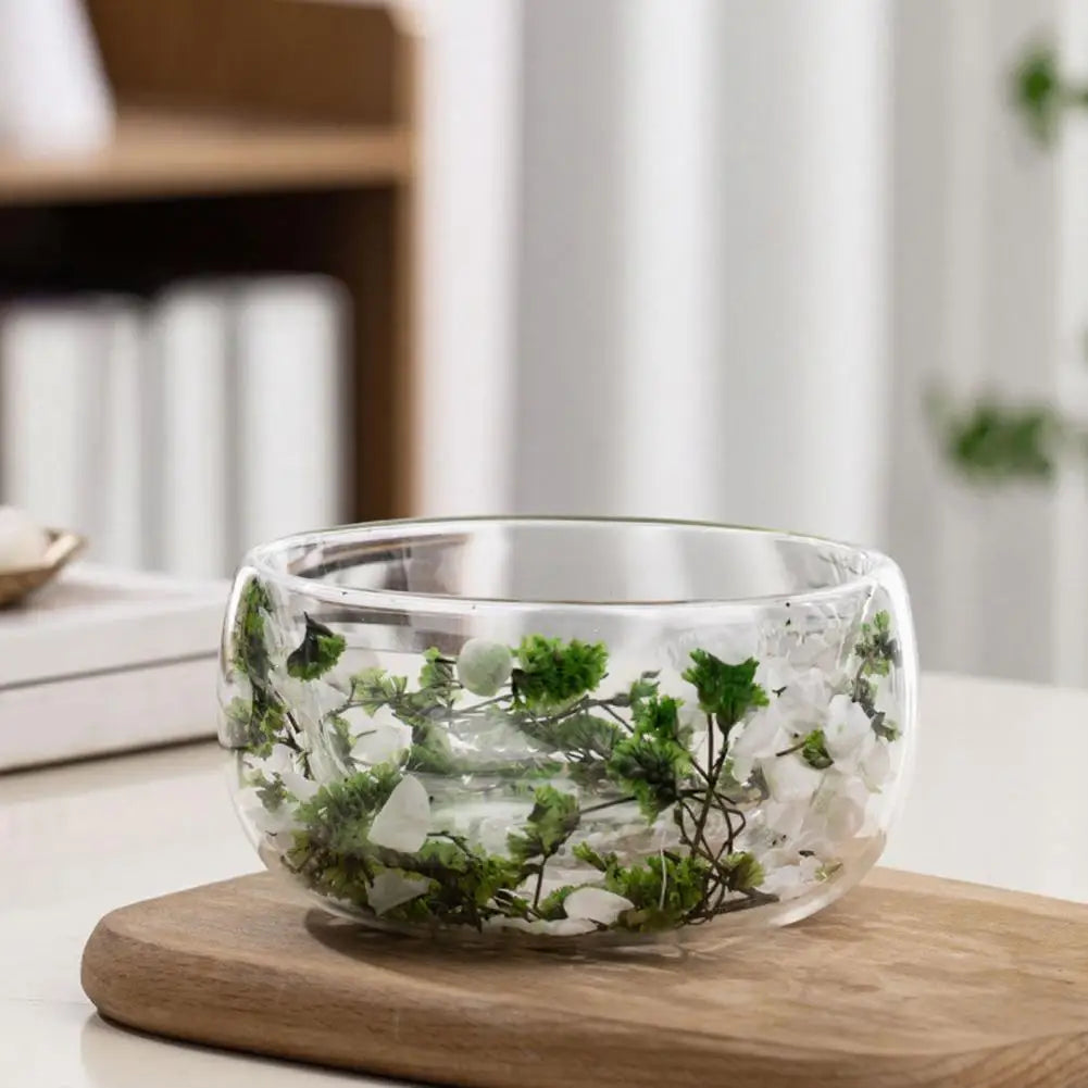 300ml Double-Walled Borosilicate Glass Bowl – Dried Flowers Decorative Glass Bowl Nixie