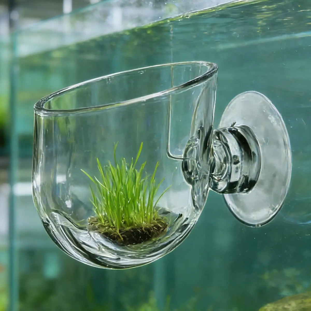 Aquatic Plant Pot with Suction Cup – Fish Tank Decoration Aquarium Plant Holder Nixie