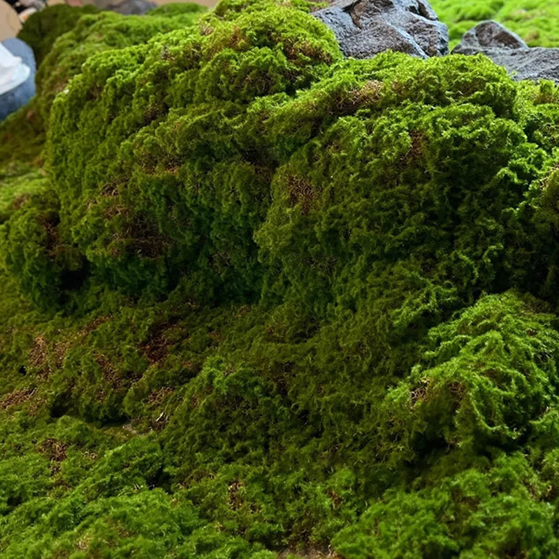 Artificial Moss Mat – Faux Lawn for Bonsai, Terrarium & Décor