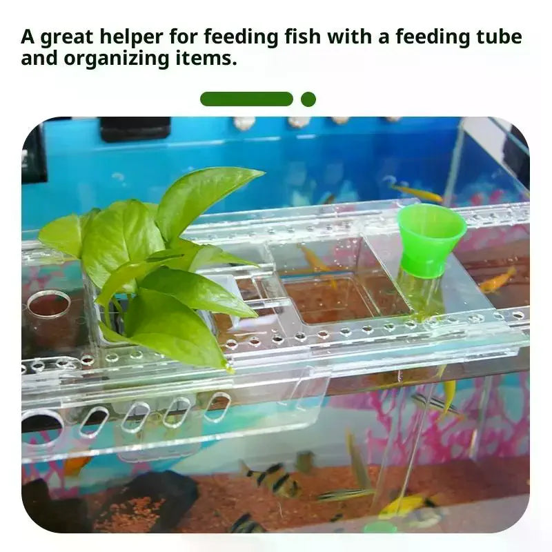 Aquarium Plant Holder Rack – Punch-Free Fish Tank Shelf Aquarium Plant Rack Nixie