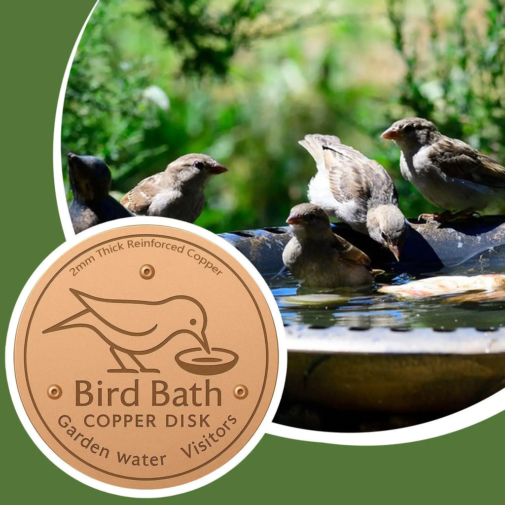 Copper Bird Bath Disk | Algae-Inhibiting Triple-Point Support