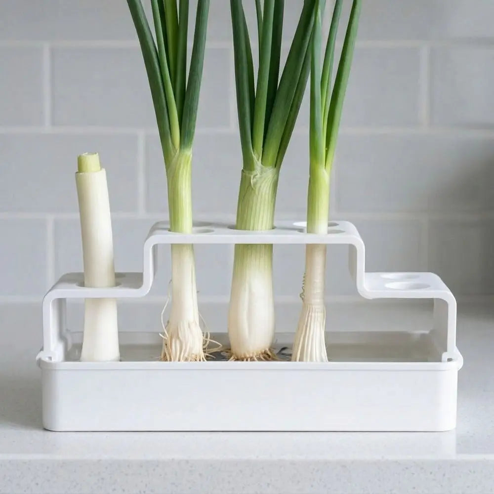 Hydroponic Vegetable Box – Soil-Free Herb Regrowth Planter Hydroponic Herb Planter Nixie