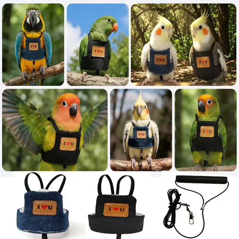 Adjustable Parrot Harness Training Rope – Safe Bird Vest Bird Harness Leash Nixie