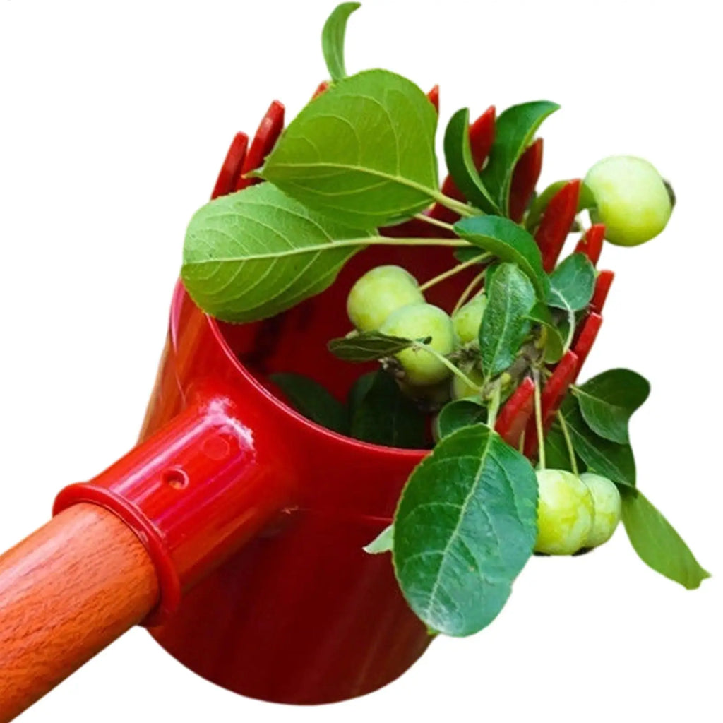 Berry Picker Tool – Fruit Scoop with Comb Teeth & Pole Extension
