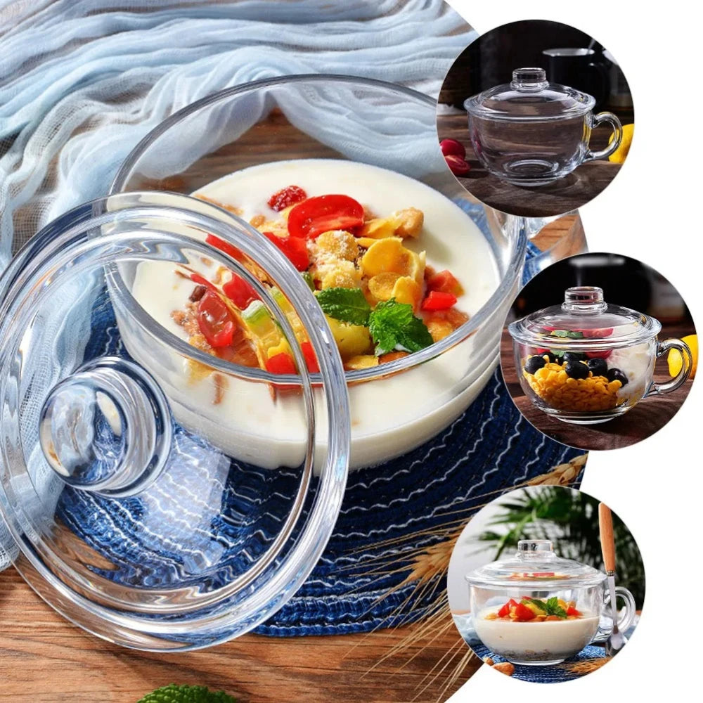 Clear Glass Bowl with Handle – Microwave Safe Breakfast Bowl Glass Dining Bowl Nixie