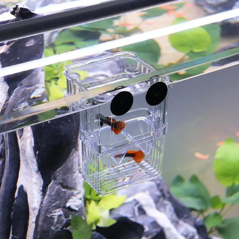 Acrylic Fish Breeding Isolation Box – Aquarium Hatchery Aquarium Breeder Box Nixie