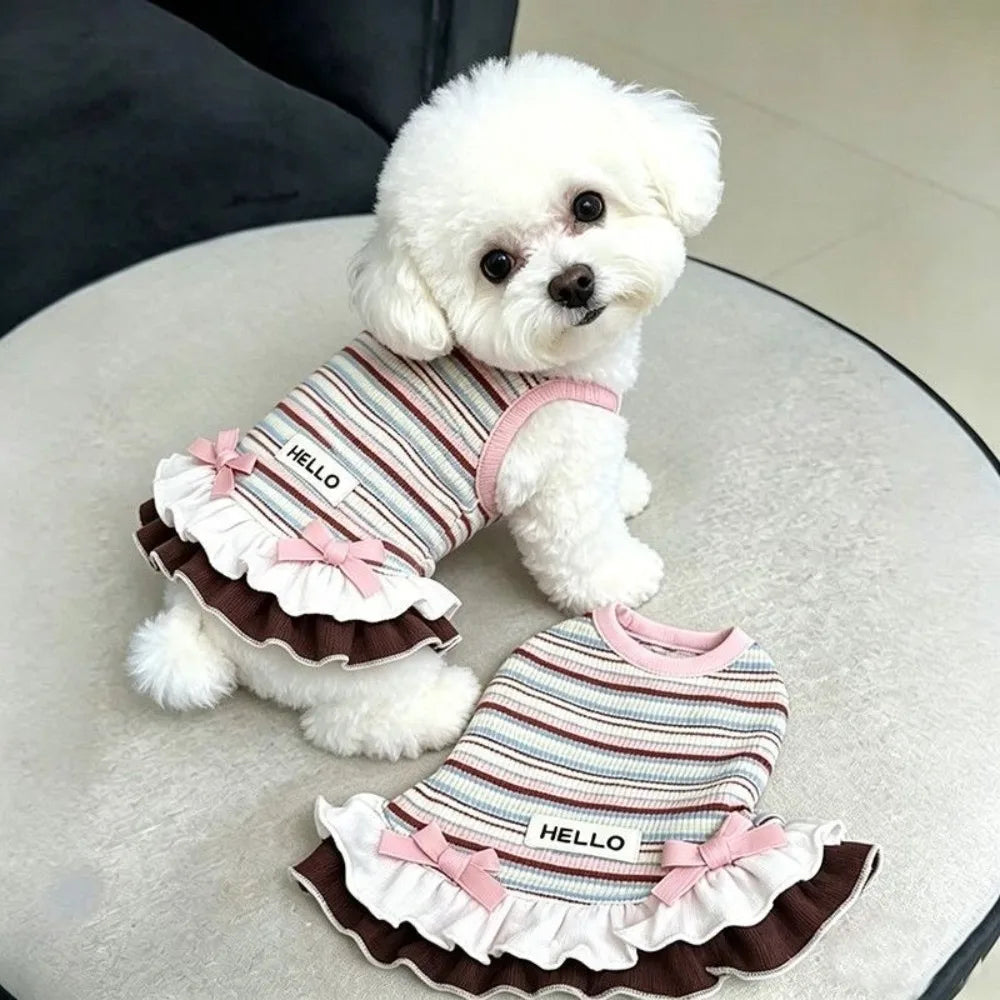 Cute Summer Dog Dress Rainbow Stripe Lace Skirt Small Dogs Dog Dress Nixie XL A