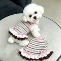 Rainbow Stripe Lace Dog Dress – Summer Skirt for Small Dogs Dog Dress Nixie XL A