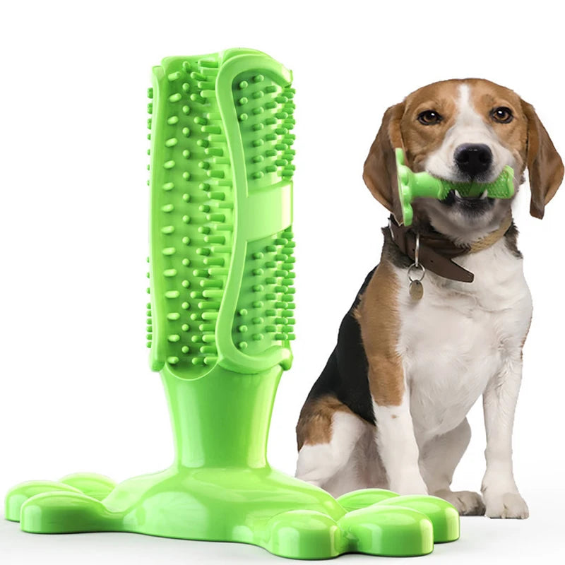 Dog Cactus Rubber Chew Toy – Treat Dispenser & Teeth Cleaner Dog Chew Toy Nixie green L