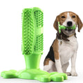 Dog Cactus Rubber Chew Toy – Treat Dispenser & Teeth Cleaner Dog Chew Toy Nixie green L