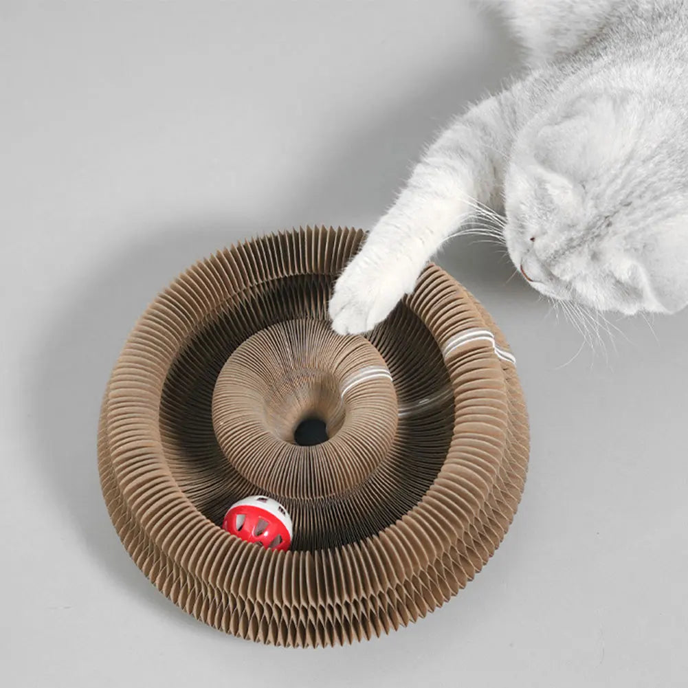 Foldable Accordion Cat Scratching Board & Interactive Cat Toy Cat Scratcher Toy Nixie