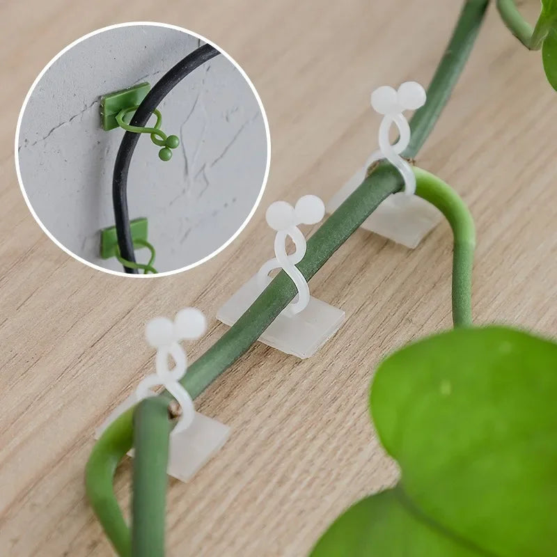 10pcs Plant Wall Clips Vine Climbing Fixer & Trellis Hooks