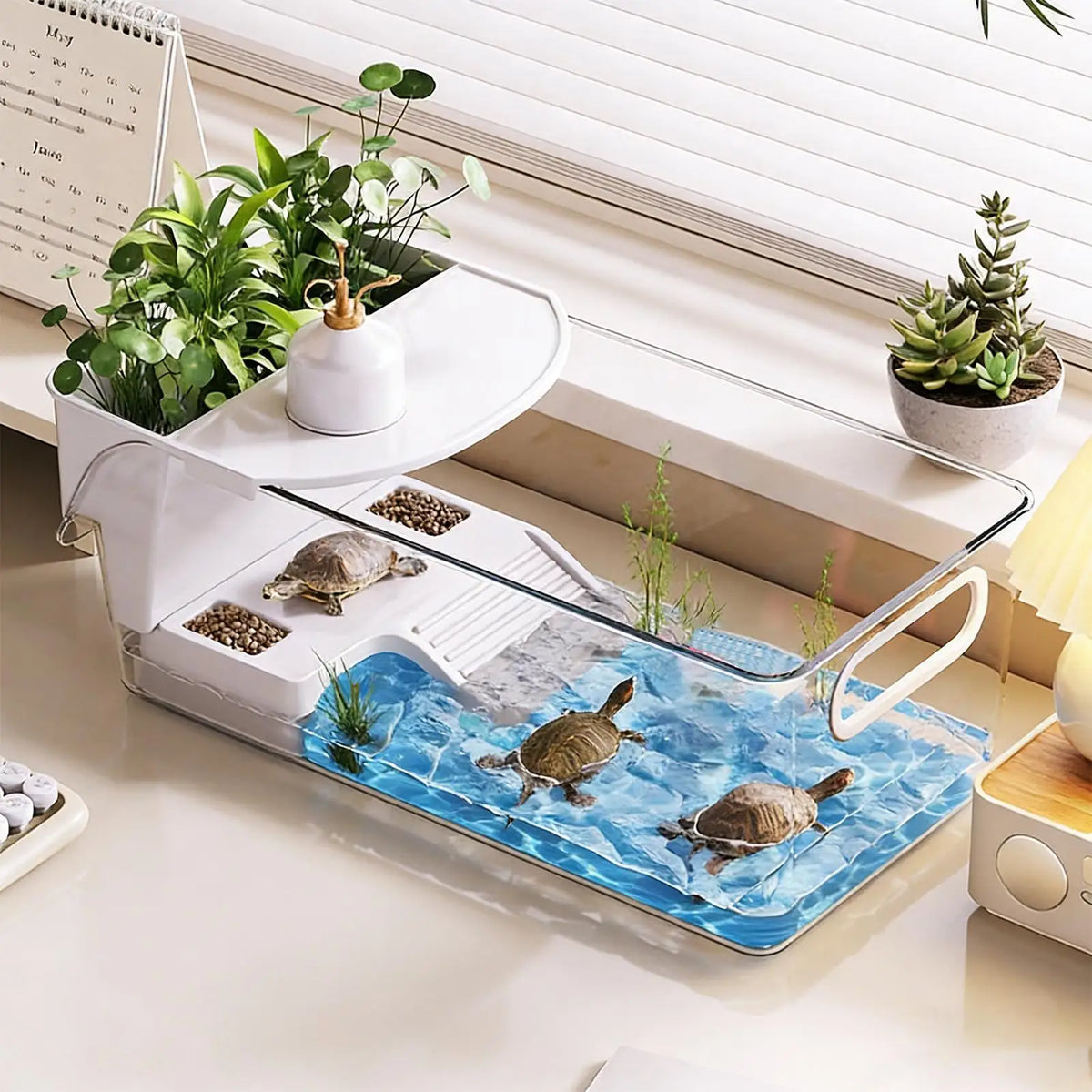 Turtle Tank with Basking Ramp | Desktop Reptile Terrarium Reptile Terrarium Tank Nixie